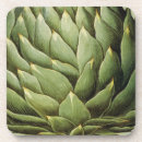 Search for cynara Artichoke