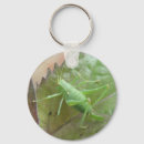 Search for cricket key rings Green