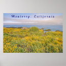 Search for monterey posters Nature