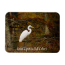 Search for egrets magnets Animals