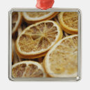 Search for indoors christmas tree decorations Life