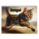 Search for bengal cat calendars Kitten