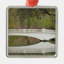 Search for calm christmas tree decorations White