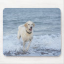 Search for vitality mousepads Horizontal
