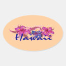 Search for hawaii stickers Hibiscus
