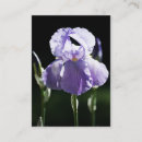 Search for iris business cards Nature