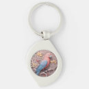 Search for parrot lover Colourful