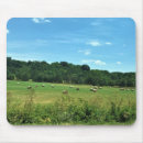 Search for hay electronics Nature