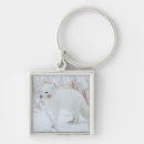 Search for carnivorous key rings Canada