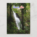 Search for coca Rico