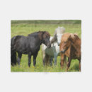 Search for icelandic horses blankets Ranch