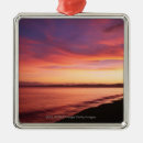 Search for tranquil christmas tree decorations Horizontal