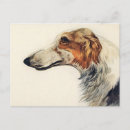 Search for veterinary appointment postcards Animals