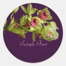 Search for phalaenopsis stickers White