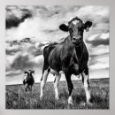 Search for black and white landscape posters Fields