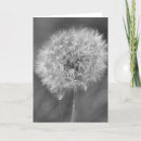 Search for black white photography cards Flower