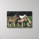 Search for miniature canvas prints Equestrian