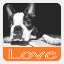 Search for boston terrier dog stickers Puppy