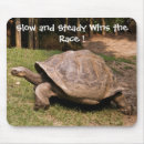 Search for slow mousepads Turtle