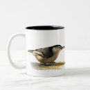 Search for nuthatch mugs Nature