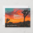 Search for joshua tree national park postcards California