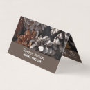 Search for conifer Rustic