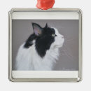 Search for maine coon cat christmas tree decorations Black