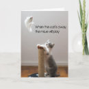 Search for mice cards Cats