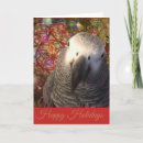 Search for african grey parrot christmas cards Parrots