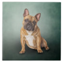 Search for french bulldog coasters Breed