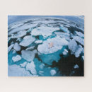 Search for climate change puzzles Snow