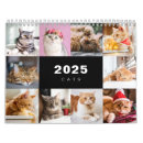 Search for funny cat calendars Modern