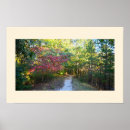 Search for hiking photography Path