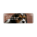 Search for beagle puppy return address labels Animal