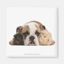 Search for english bulldog gifts Animals