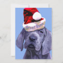 Search for great dane christmas cards Puppy