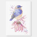Search for bluebird magnets Garden