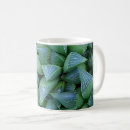 Search for green succulents mugs Gardener