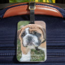 Search for pet luggage tags Modern