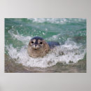 Search for frank ocean posters Ie