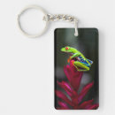 Search for frog key rings Arboreal