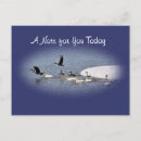 Search for bird postage postcards Wildlife
