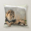 Search for lion king cushions Wildlife