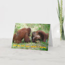 Search for id cards Funny