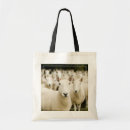 Search for herding bags Sheep
