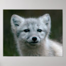 Search for getty posters Nature