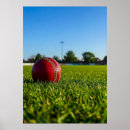 Search for cricket posters Ball