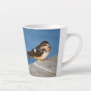 Search for swallows mugs Animal