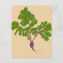 Search for purple pattern postcards Modern