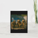 Search for sloth cards Popular